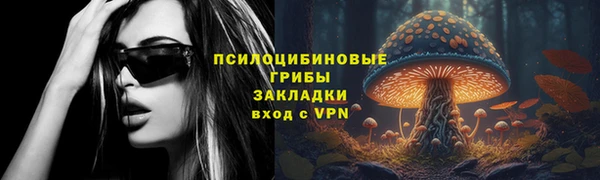 метадон Медвежьегорск