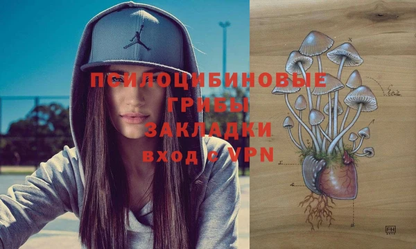 метадон Медвежьегорск