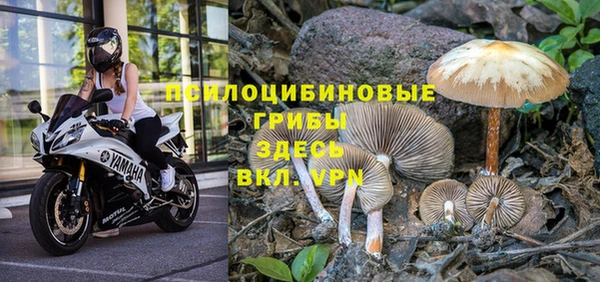 mix Мегион