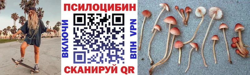Галлюциногенные грибы GOLDEN TEACHER  купить закладку  Трёхгорный 